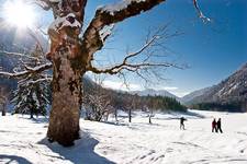 Winterimpressionen