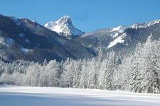Winterimpressionen